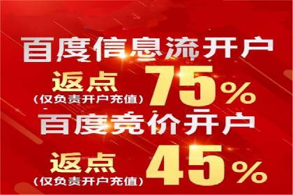 案例解析：百度推广排名提升的实战技巧